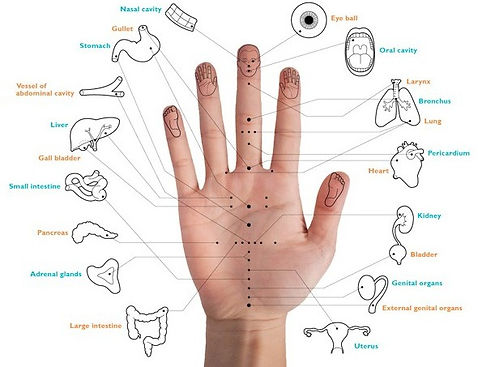 Korean Hand Therapy