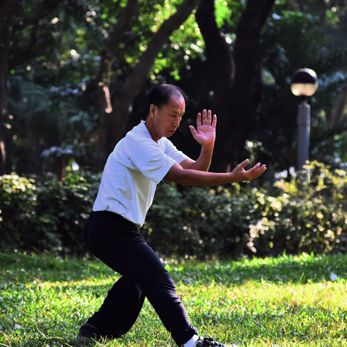 Authentic Yang Family Taijiquan - Tai Chi